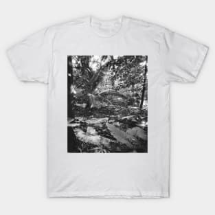 Vintage photo of Amazon Rainforest T-Shirt